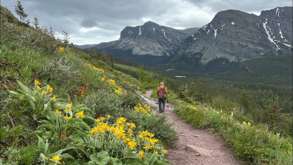 Utah's Majestic National Parks