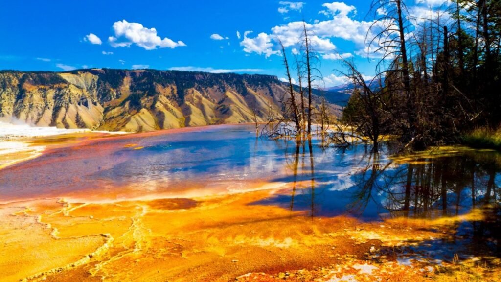 Yellowstone National Park