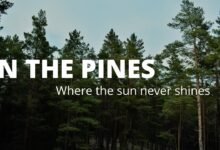 the pines resort